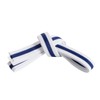 Mastery Tiny Tigers (White Belt/Blue Stripe, 0)