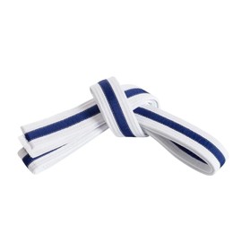 Mastery Tiny Tigers (White Belt/Blue Stripe, 0)