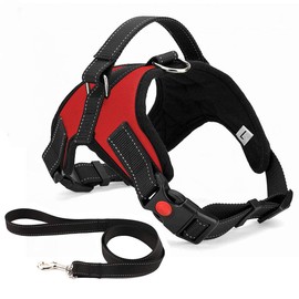 No Pull Dog Harness, Breathable Adjustable Comfort, Free Leash Included, for Small Medium Large Dog, Best for Training Walking (XS, Red)