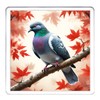 Pigeon Coaster Set. 4 different Pigeon Pictures on 10cm x