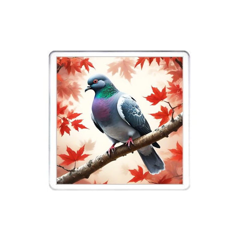Pigeon Coaster Set. 4 different Pigeon Pictures on 10cm x