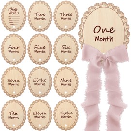 Threehoney 14 Pcs Wooden Monthly Baby Milestone with Ribbon Monthly Milestone Wood Discs Photo Props for Newborn Baby Girl Boy Baby Shower Gifts(Pink)