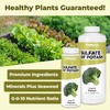 Sulfate of Potash, High-Potassium Plant Fertilizer, 8 oz (250mL)