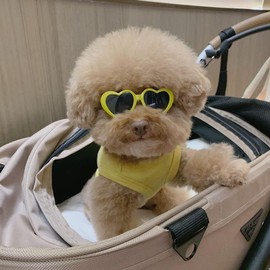 Red Pet Sunglasses Cute Pet Dog Sunglasses Cat Glasses Heart Sun Flower Glasses for Small Dogs Cat Accessories Photos Props Pets Party Decor Dog Sunglasses