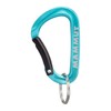 Mammut Mini Carabiner Classic Keylock S, blue