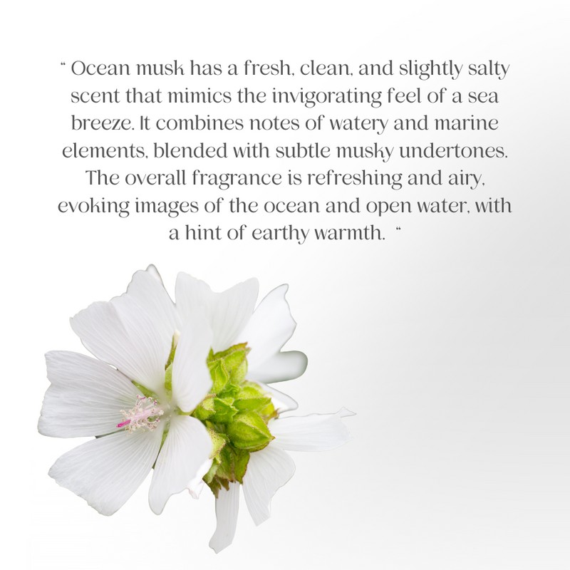 JOSERISTINE Ocean Musk Shower Gel 1000ml/100 % Vegan/ By Choi