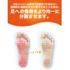 Dr. Scholl's In-Balance Foot Stress Absorbing Insoles for Lower Back,