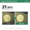 AXIS-Y - Mugwort Pore Clarifying Wash Off Pack - Mascarilla