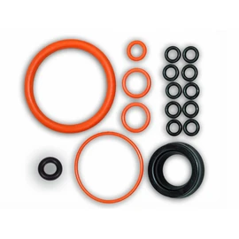 Saeco Parts Royal Gasket Set