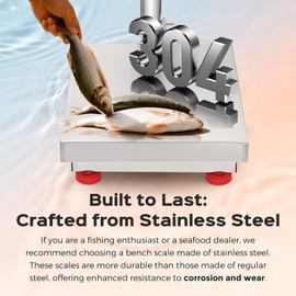 Bonvoisin Digital Platform Scale with Stainless Steel Platform 660LBs Heavy Duty Warehouse Floor Scale for Weighing Packages, Luggage, Suitcases, Boxes (20.4” X 16.5“ Platform)