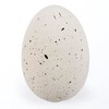 Primitives by Kathy Decorative Eggs - Brown & Speckled