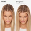 Shampoo en Seco, Nº 4D Olaplex Clean Volume Detox 178
