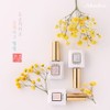 Mostive Connip 3-piece set 2021 spring color / 모스티브 꼰닙