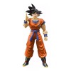 Dragon Ball Figura de acción Goku Saiyan raised on Earth