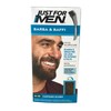 Just For Men Brush-In Color Gel for Mustache, Beard &