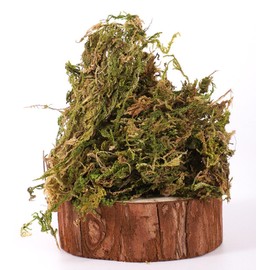 gutiest 200g/pack Forest Moss for Hamster Bedding Nesting Hamster Bedding for Odor Control Rabbits Squirrels Hamsters Guinea Pigs Terrarium Moss (200, Grams)