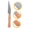 TEHAUX Japanese Hand Saw for Woodworking Precision Trim Tool with