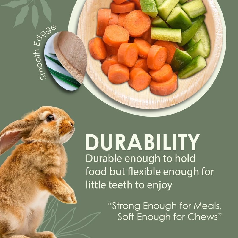 Planet Pantry Disposable Palm Leaf Rabbit Bowls - Bunny Chew