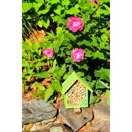 Mason Bee Houses and Supplies : Bamboo Tube Bee Hotel for Solitary Bees - Attract More Gentle Pollinating Bees to Your Garden by Providing Them with a Safe Bee Home Made from FSC Certified Wood