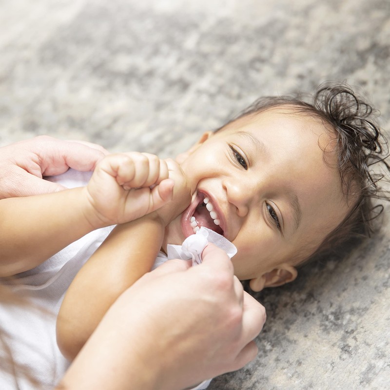 Dr. Brown's Healthy Wipes Variety Pack, Tooth and Gum, Nose