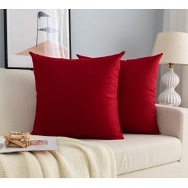 Pair of Pillow Covers Plastic Mite Proof Hypoallergenic Sofa Bed Pillow Covers with Hidden Zipper 2 Pieces (60x60cm, Red)