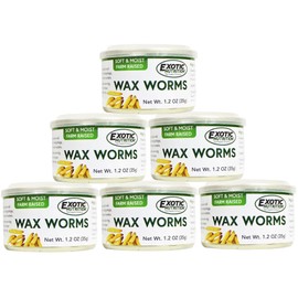 Canned Waxworms (6 Pack) - Healthy High Protein Insect Treat - Hedgehogs, Sugar Gliders, Reptiles, Wild Birds, Chickens, Lizards, Bearded Dragons, Skunks, Opossums, Fish, Amphibians, Turtles