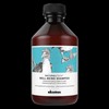Davines Natural Tech Well Being Shampoo 250ml