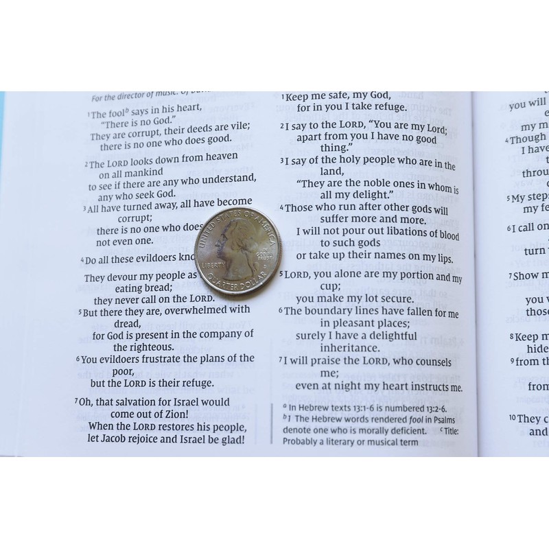 NIV, Value Thinline Bible, Leathersoft, Teal, Comfort Print