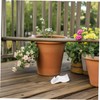 WOONEKY 12pcs Stainless Steel Clips for Outdoor Decorations for Hanging