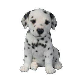 Dalmatian Puppy Pet Pal by Vivid Arts