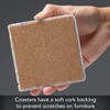 Thirstystone Scallop Shell 4 Pack Natural Travertine Absorbent Stone Coasters