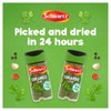 Schwartz Coriander Leaf 7 G | Jar | Pack of