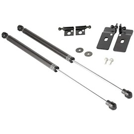 Tomioka Racing Carbon Fiber Hood Damper TC 2005-2010