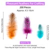 HOCUCHELAND Pack of 200 Guinea Fowl Feathers, 4.5-10 cm, Colourful