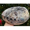 Abalone Shell, Seashell Incense Burner, Smudge Bowl for Holding Smudge