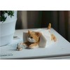 Gemmia Book Lover Figurine- Cat w/Books(Notice Size)