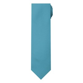 Jacob Alexander Corbata de cuello regular para niños, Turquesa, Boys Prep 50 inch