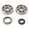 Hot Rods Main Bearing & Seal Kits for Suzuki RM