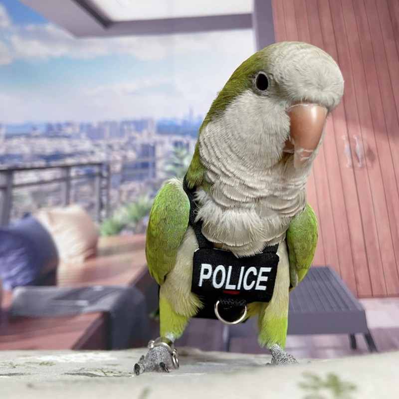 Bird Diaper Harness Flight Suit Clothes, Parrot Flight Suit with