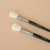 PICCASSO [Picasso] 106 Blusher / [피카소] 106 블러셔
