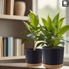 PECZEKO Matte Flower Pot, Plastic Planter, Decorative Pot for Large