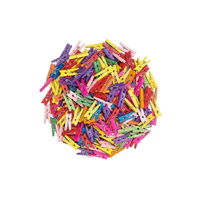 100 Mini Wooden pegs (Multi)