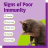 Pet Naturals of Vermont L-Lysine Fun-Shaped Chews for Cats