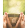 Good Earth Sweet & Spicy Matcha Green Tea - 18