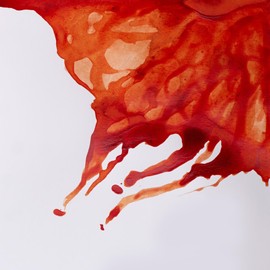 Winsor & Newton 1110030 30 ml Bottle of Calligraphy Ink for Fountain Pens or Nibs, Can be Blended with One Another, Non-Fading and Durable Colour