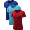 NELEUS Women's 3 Pack V Neck Workout Clothes Compression Running