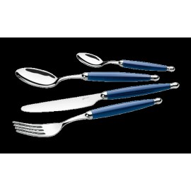 Giannini Imported Silverware 24 piece blu stainless steel set.  Retails for $100