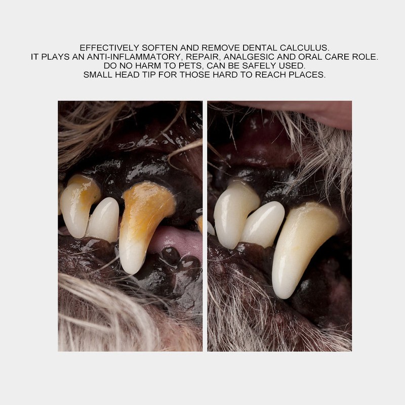 2Pcs Pet Beauty Brush Dog Cat Dental Calculus Tartar Stone