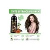 Shampoo Tinte Instantaneo Cubre Canas Extracto Plantas 500ml