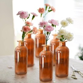 Amber Glass Bud Vase, 20 Pack 8 Oz Living Bud Vases, Small Vases for Flowers, Decorative Amber Bottles for Table Centerpiece, Home Decor, Office, Wedding Reception, Vintage Style